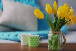 Hétindító – 11. hét – Suller Kriszta - Járulék- és áfa bevallás