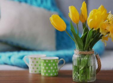 Hétindító – 11. hét – Suller Kriszta - Járulék- és áfa bevallás