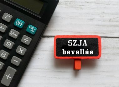Egyéni vállalkozók bevallása - Antalfi Csilla