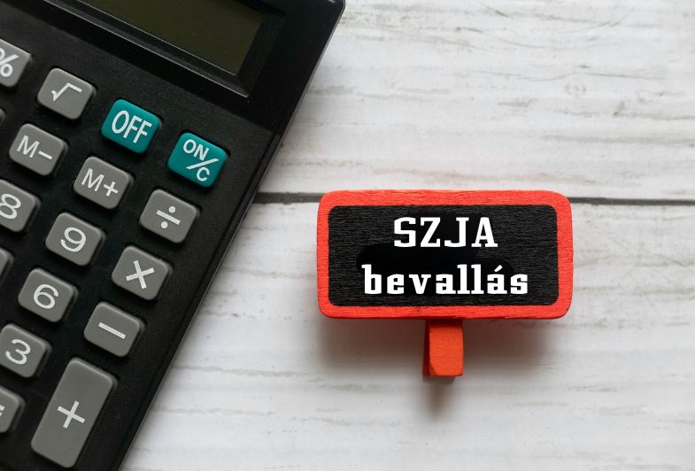 Egyéni vállalkozók bevallása - Antalfi Csilla