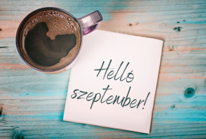 Hétindító – 36. hét – ELEKÁFA és civil szervezetek – Suller Kriszta