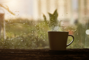 Hétindító – 38. hét – EGYREG és áfa bevallás – Suller Kriszta