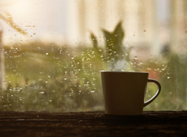 Hétindító – 38. hét – EGYREG és áfa bevallás – Suller Kriszta