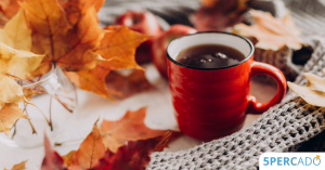 Hétindító – 43. hét – Bevallás és évzárás – Suller Kriszta